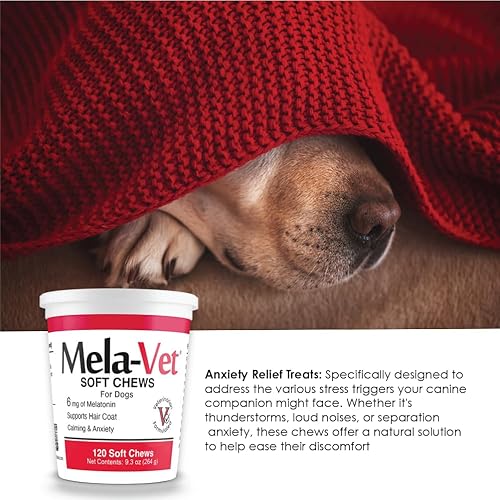 Miniatura 5 de Melatonina Calmante Masticables suaves para perros, formulados por veterinarios para proporcionar relajación y alivio de la ansiedad, ayuda a