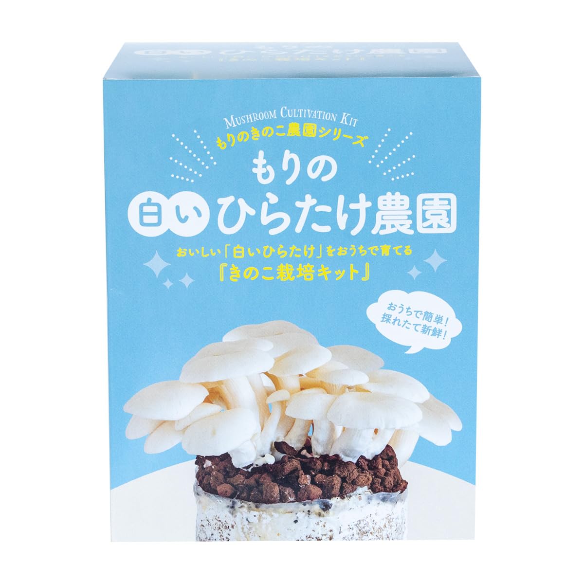 きのこ Amazon.co.jp: Forest Mushroom Club Mushroom Cultivation Kit (White
