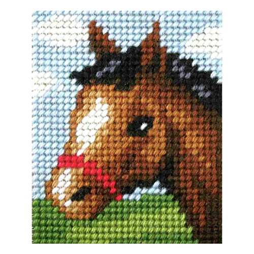 Pony Tapestry Kit