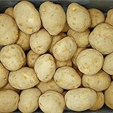 えびねの多菜生活 じゃがいも 秀品 Ｍ～ Lサイズ メークイーン とうや 男爵 品種任せ 茨城 長崎 鹿児島 北海道 千葉 国産 野菜 ジャガイモ 馬鈴薯 新じゃが 越冬 男爵芋 キタアカリ メークイン 家庭用 おうち用 おうちグルメ 人気 北海道 グルメ (秀品5キロ)