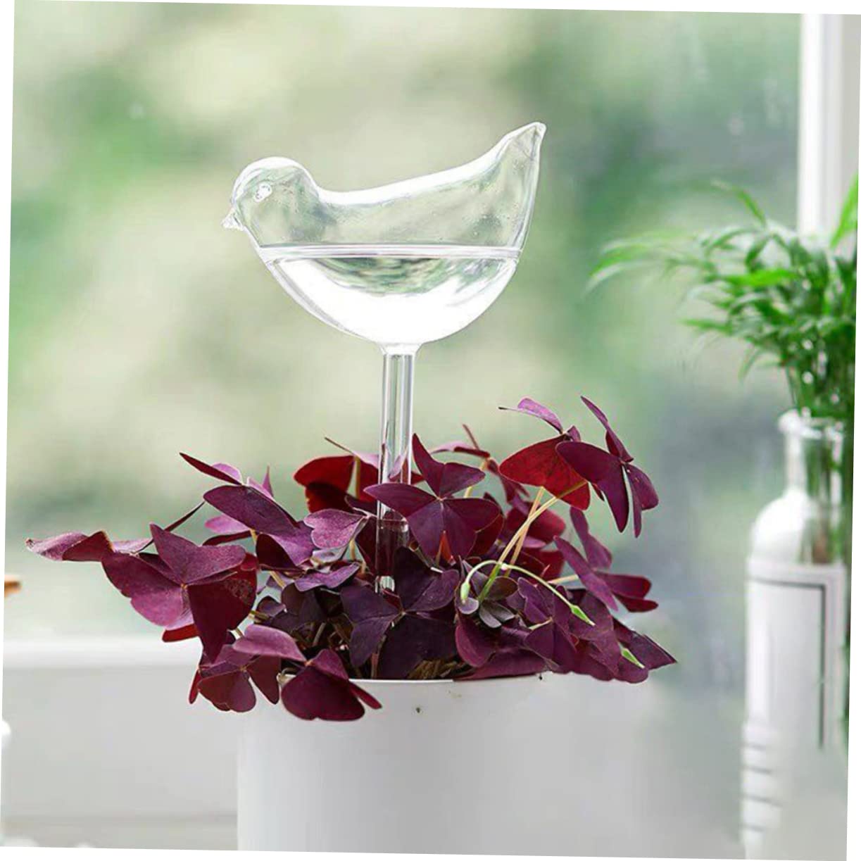 TOYANDONA Lazÿer 4 Pièces Globes à Arrosage Automatique en Verre Borosilicaté pour Plantes d'Extérieur, Arrosage des Bulbes, Usage Facile