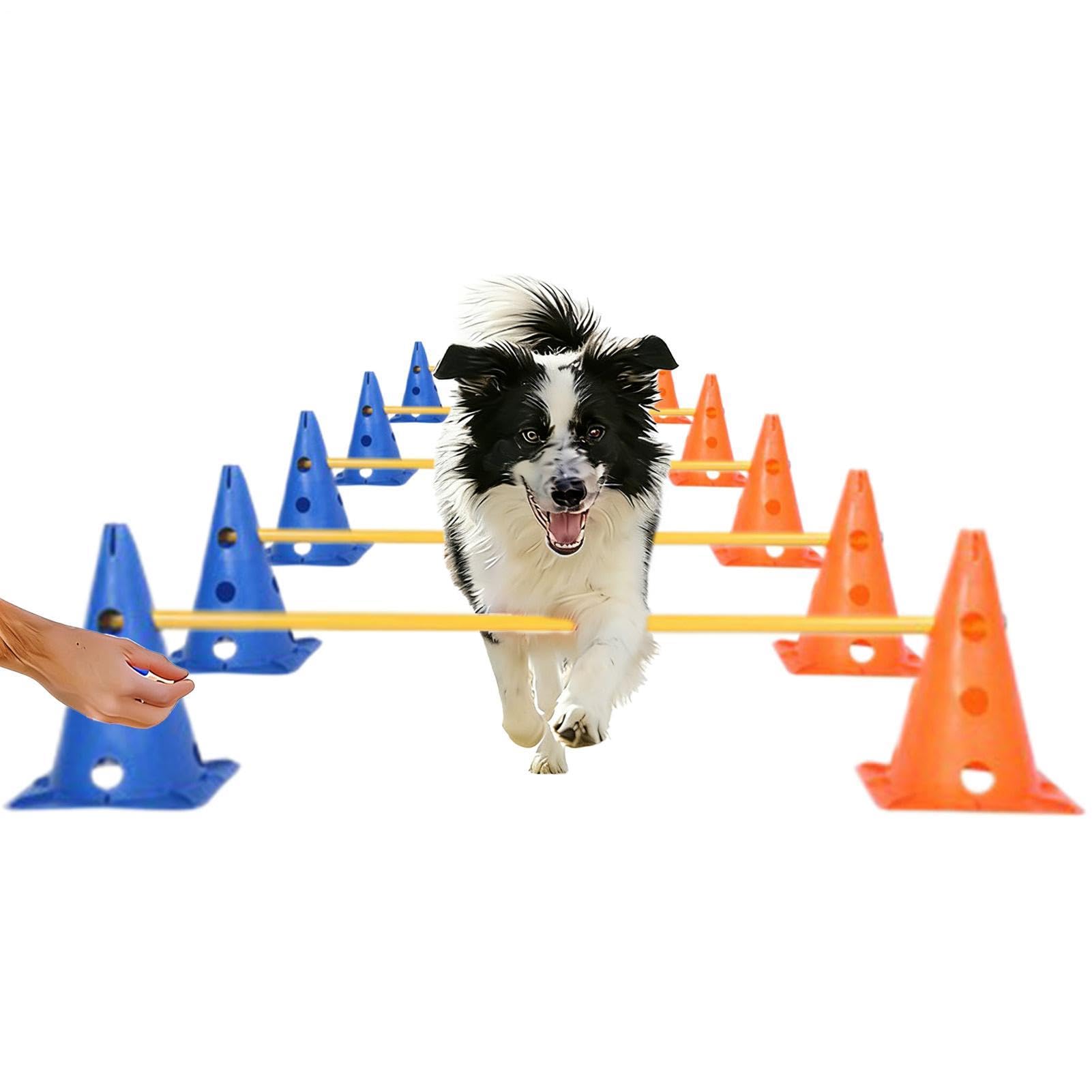 Sprzęt do agility dla psów Zestaw Treningowy z Przeszkodami i Słupkami | Domowy Tor Przeszkód dla Na Zewnątrz, Do Wewnątrz, Do Parku, Ogrodu, Plaży, Lasu, Na Wędrówki, Kemping,