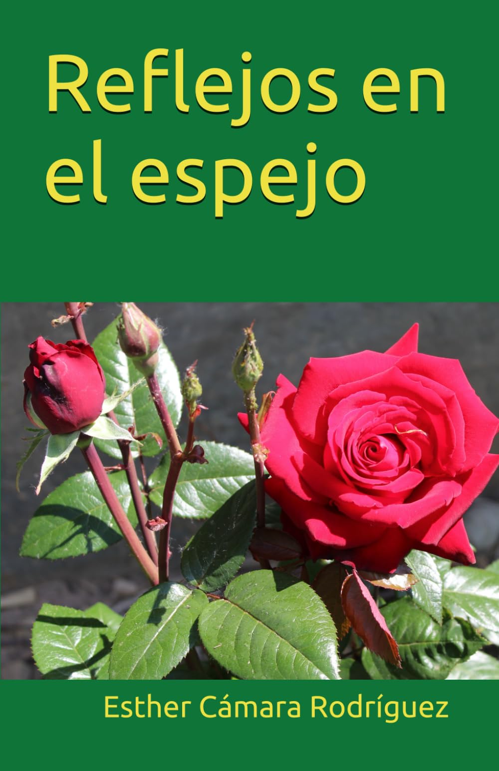 Independently Published Reflejos En El Espejo