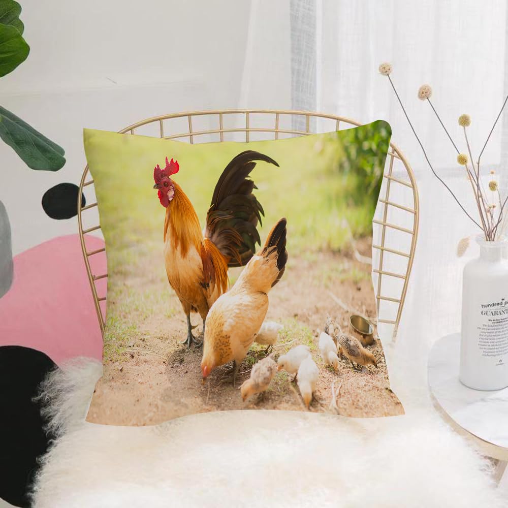 HYOSXW Cushion Cover,Throw Pillow Case Home Decorative for Living Room Bedroom Sofa Chair 16X16 Inch,Hen, a domestic fowl on the fields, grasslands and sandy areas,Pillowcase 40X40cm