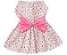 New Spring Summer Pet Dog Skirt Lady Dog Dress Floral Skirt Small Dog Princess Bow Dress Pink M by KUANG YANZI