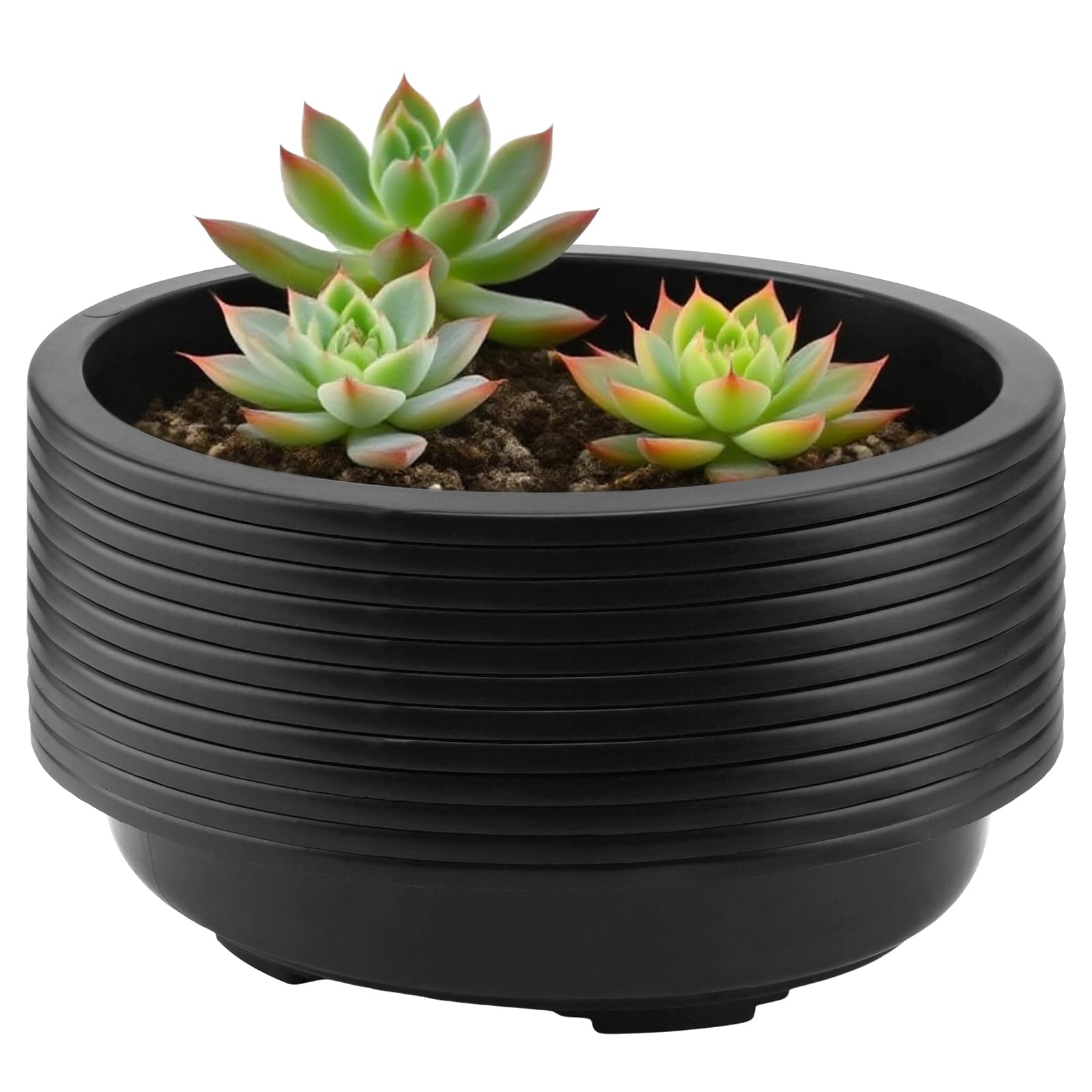 12 Macetas Ovaladas de Plástico Negro 34x26.5x8.5 cm con Agujeros de Drenaje, para Plantas de Interior y Exterior, Jardín, Terraza y Balcón, Ligeras y Apilables