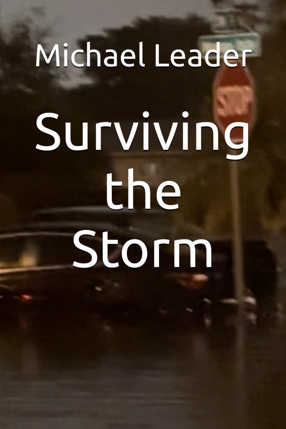 Surviving the Storm