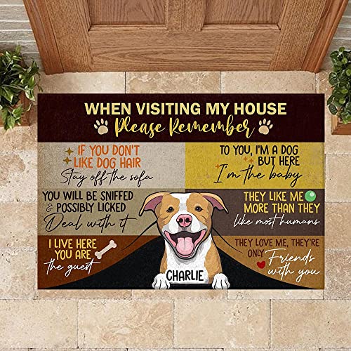 Pawfect House Custom Door Mats - When Visiting My House Please Remember - They Love Us - Personalized Decorative Mat, Dog Welcome Mat - Welcome Home Gifts, Customized Housewarming Gifts (1 Dog) #TOP6