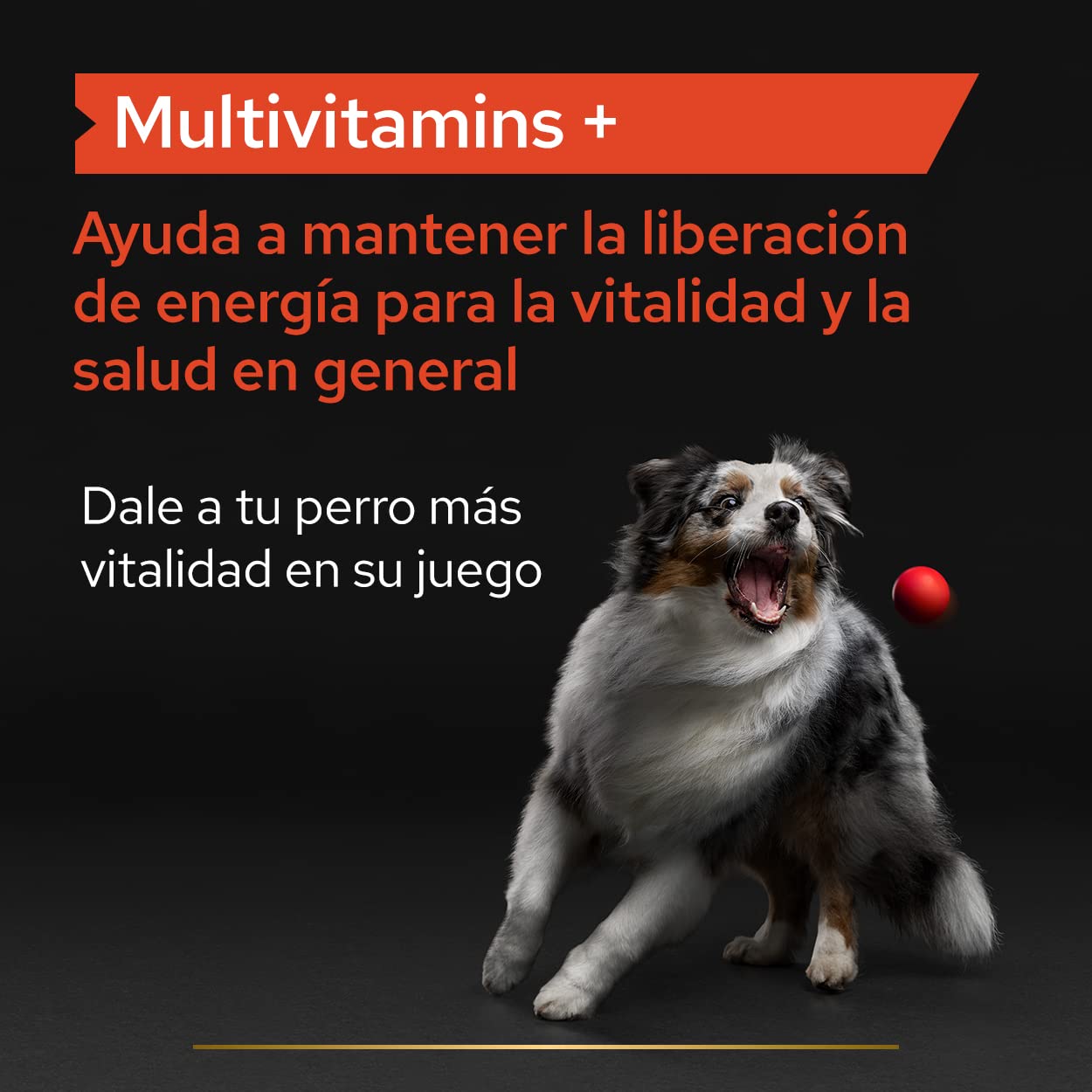 Pro Plan Suplemento Perro multivitaminas 67 g