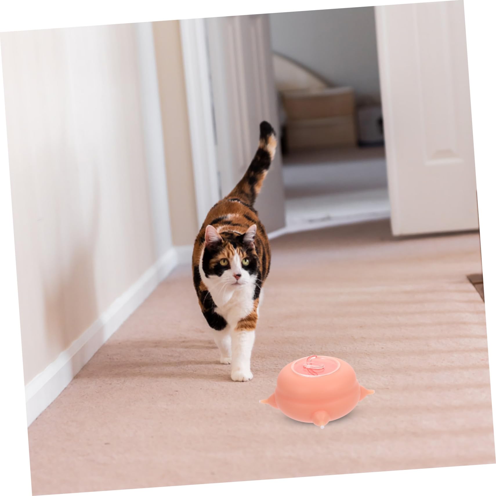 Biberon per Cuccioli in Silicone, Strumento per Alimentazione Rosa | Resistente alle Alte Temperature, Facile da Riporre, Accessorio Domestico per Gatti Piccoli e Cani Accessori
