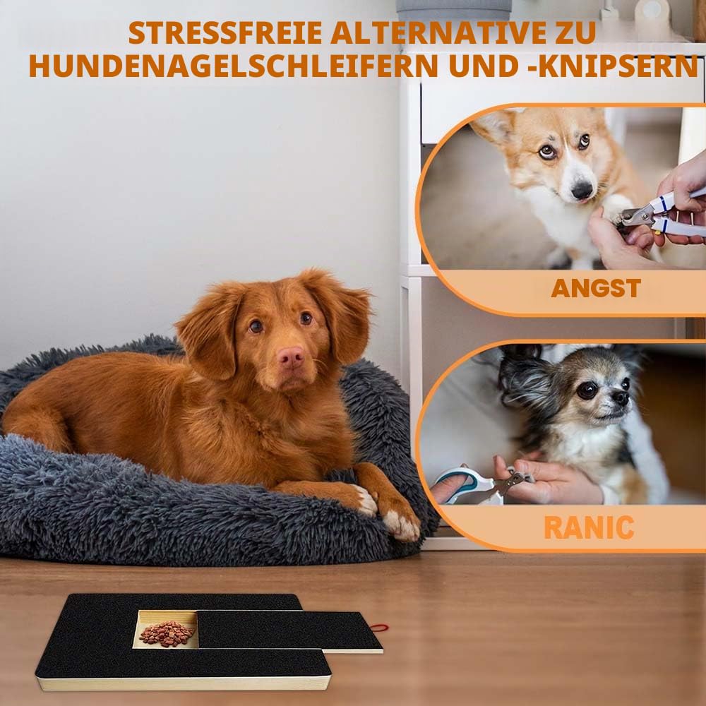 Krallenschleifer für Hunde mit Snack Box, Kratzbrett Hund mit 2 Ersatzblättern Schleifpapier, Hunde Nagelfeile für Nagelpflege Haustieren, Alternative Krallenschere Krallenschneider
