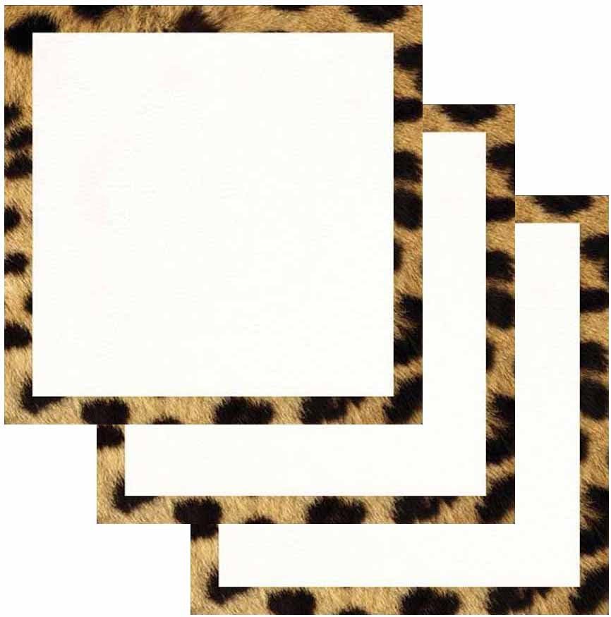 Cheetah Print Border Sticky Notes - Set of 3 - Wildlife Animal Theme Design - Stationery Gift - Paper Memo Pad - Office and School Supplies