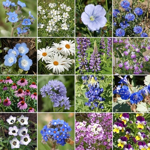 Image of Ferry-Morse Cool Colors Bulk Wildflower Seeds, 200,000+, 1 lb