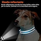 Ver la foto 5
