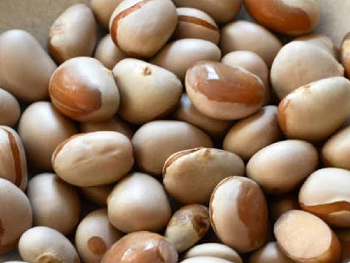 Jackfruit seeds for eating (350 gram) (B0C9D2NYBP) Amazon Price History, Amazon Price Tracker