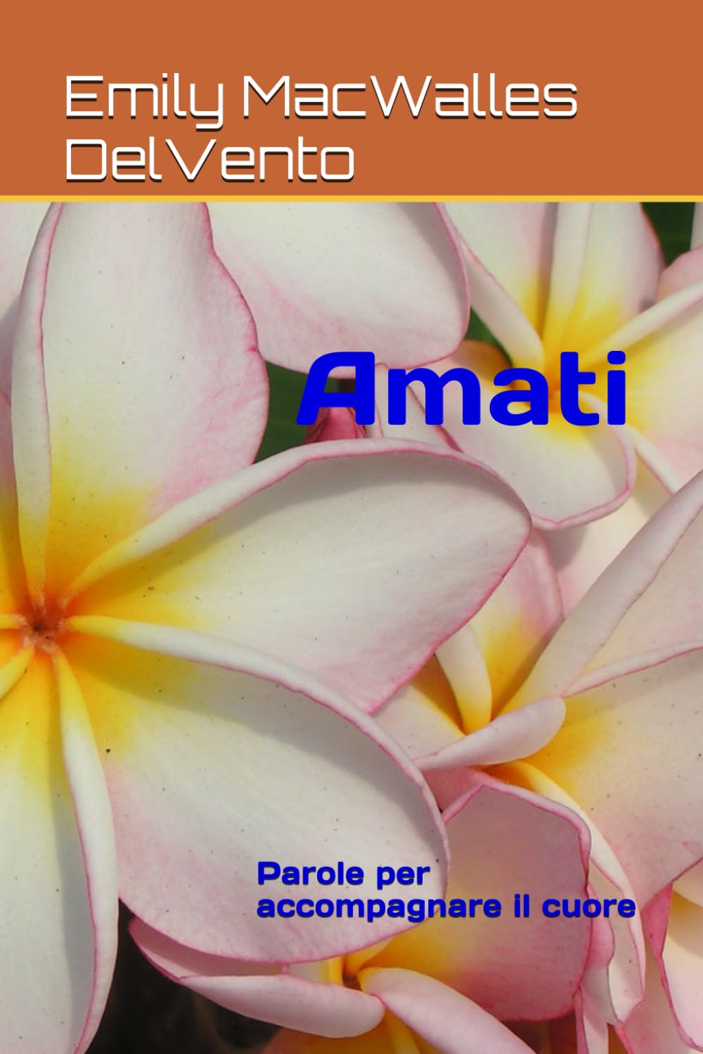 Amati: Parole per accompagnare il cuore