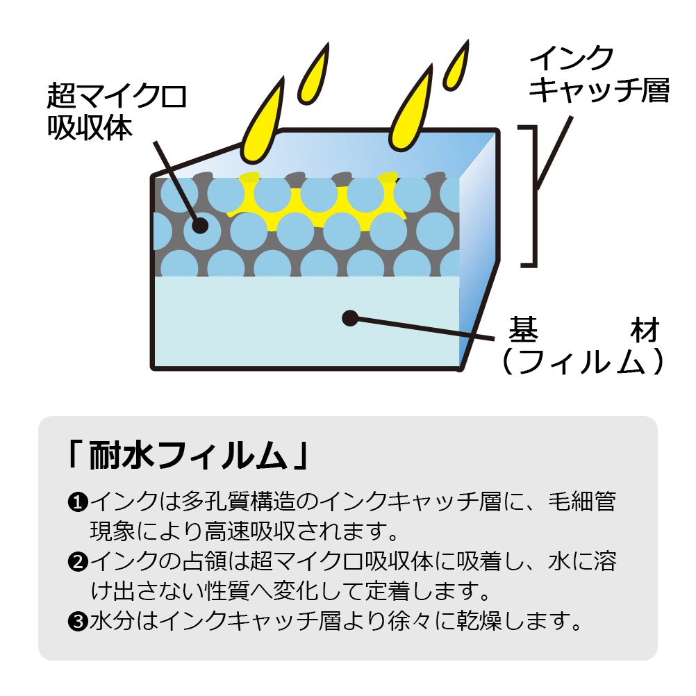 Amazon.co.jp: プラス インクジェット粘着フィルム 耐水光沢IT-341RF