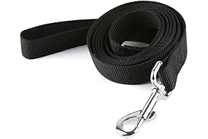 Nylon Dog Training Leash, Traction Rope for Adventure