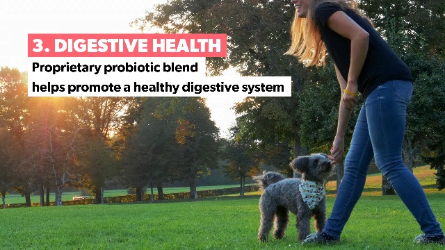 VetPro Dog Vitamins and Supplements - Pet Multivitamins with Probiotics, Glucosamine for Hip and Joint Health, Immune… - Image 7