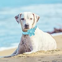 Vista 33 de Lionheart glory Collar de perro con bandera estadounidense, collar de flores para perro del 4 de julio, resistente y ajustable, collar patriótico