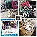 SNUG STAR Two-Color Decorative Pillow Case Square Paillette Throw Sequins Cushion Covers 16 X 16 for Home Decor Party/Sofa/Bed (Matt Champagne and Light Gold)