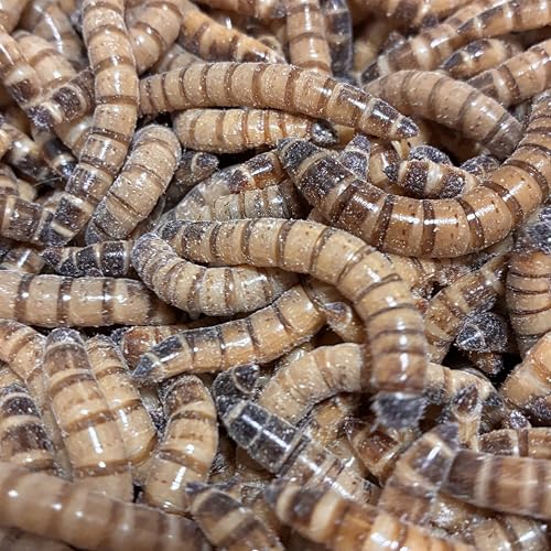 WCAg~[ 50g/100g/150g/200g/300g a ঒    a (200g)