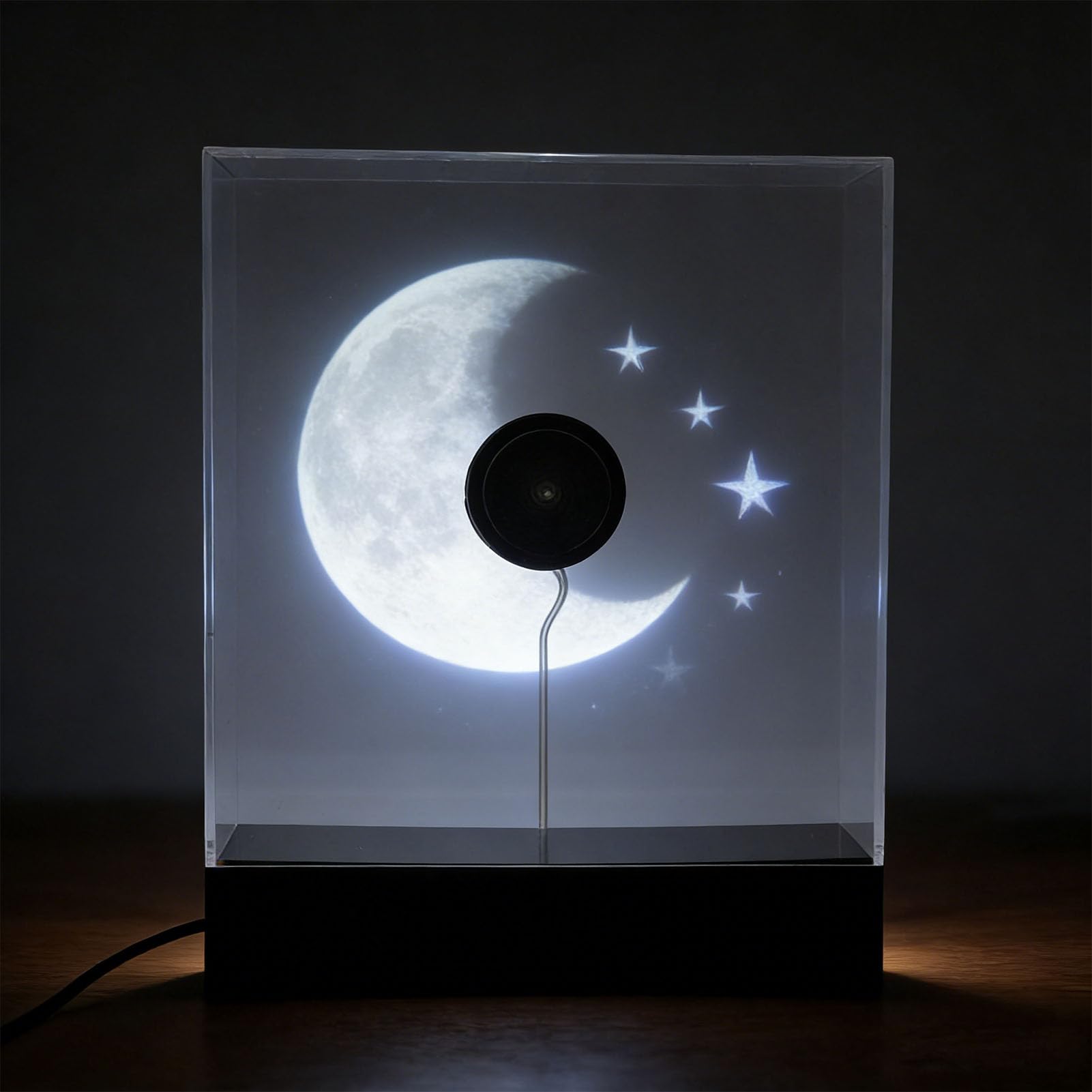 Proiettore Ologramma 3D da 18 Cm, Ventola per Display Pubblicitario Olografico WiFi con 80 LED Risoluzione 298x298, Editing Video Personalizzato con Controllo Software, per