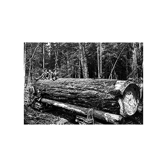 Buy Darius Kinsey (18691945) was a photographer active in western