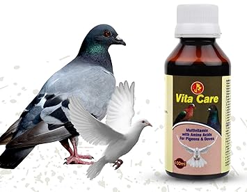 Pet Care International (PCI) Vita Care || Provide Essential Vitamins for Healthy Pigeon & Dove Healthcare || 100ml