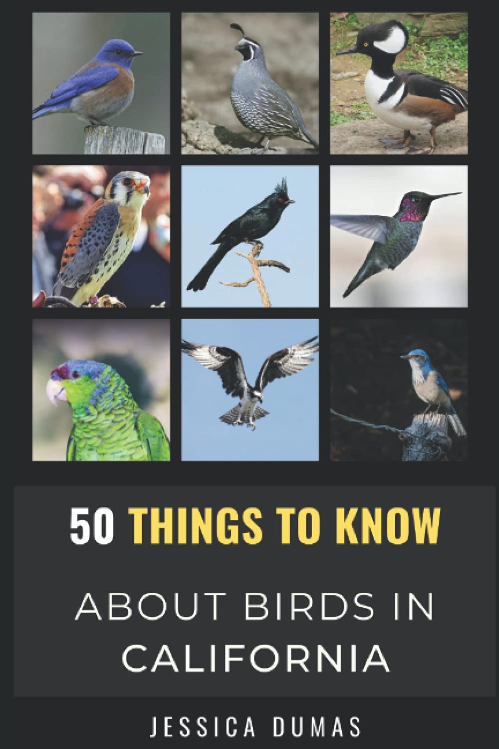 50 Things to Know About Birds in California: Birding in the Golden State (50 Things to Know About Birds- United States)