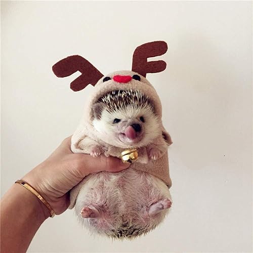 Miniatura 3 de Ropa de erizo de alce disfraz de reno para erizos pequeños animales ropa polar hecha a mano erizo sudadera con capucha accesorios de vestir para