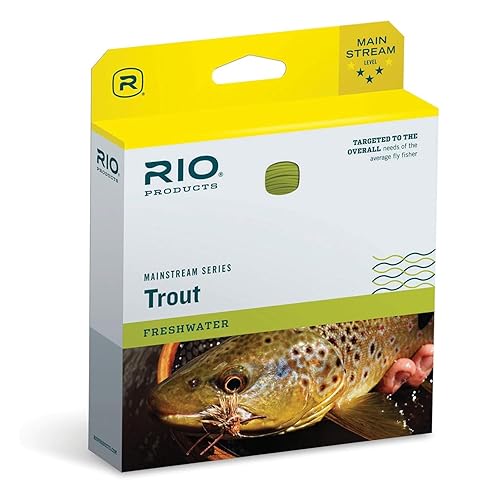 RIO Products Mainstream Trout DT Fly Line - Developed for The Average Fly Fishermen - Easy Casting and Smooth Design - Floating Freshwater Line