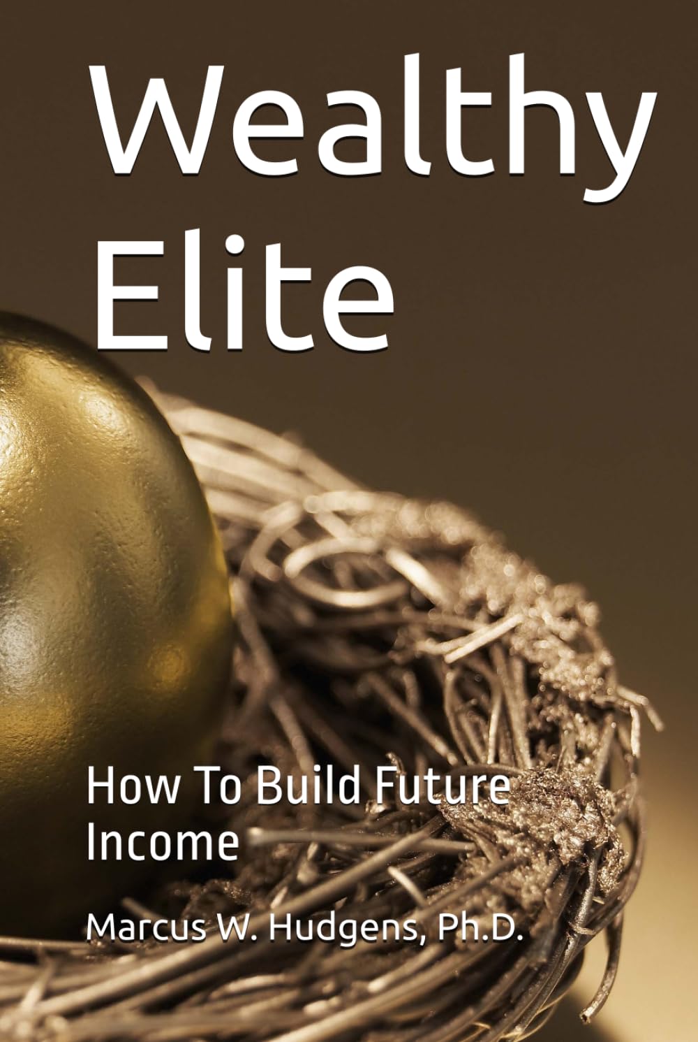 Wealthy Elite: How To Build Future Income