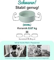 SPUNKYJUNKY Kerámia Emelt Etetőtál Szett Bambusz Állvánnyal Kutyáknak és Macskáknak - 850 ml Űrtartalmú Tálak, Világoszöld, Állítható Magass 5