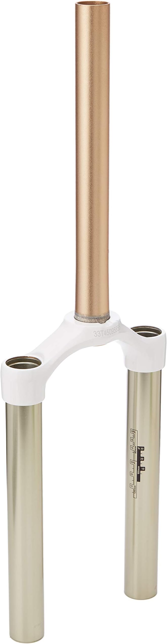 Rock Shox SID B RL/RLT/RCT3 Dual Air Aluminium Steerer Replacement CSU Assembly, White