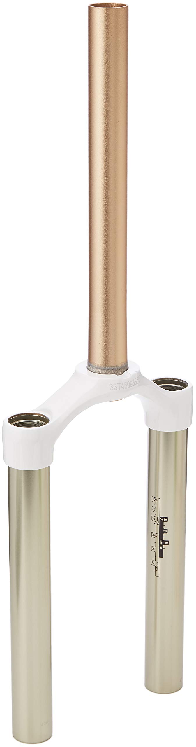 Rock Shox SID B RL/RLT/RCT3 Dual Air Aluminium Steerer Replacement CSU Assembly, White
