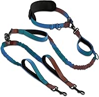 Vista 35 de SparklyPets - Correa doble para perros con manos libres – Correa doble para razas medianas y grandes – Correa para 2 perros con asas acolchadas