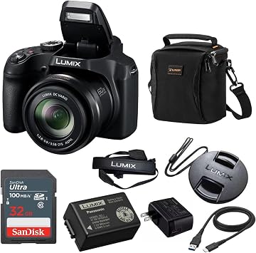 Panasonic Lumix DMC-DC-FZ80 Digital Point & Shoot Camera - Bundle with 16GB SDHC Card, Camera Bag, Cleaning Kit, Memory Wallet, Software Package