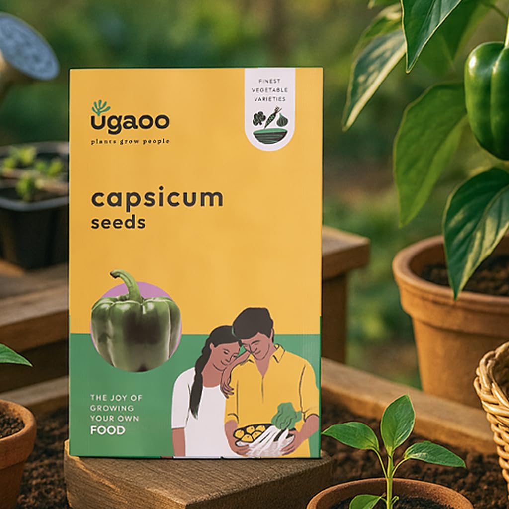 UGAOO Capsicum Vegetable Seeds (Green, Pack of 50 Seeds)
