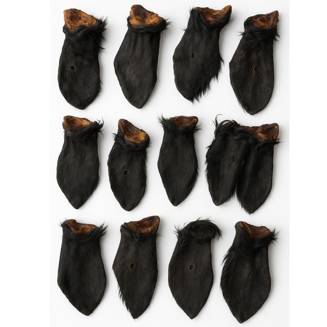 ANIMALUJOS-Snacks Naturales para Perros – Pack 10 Orejas de Ternera con Pelo o sin Pelo – 100% Natural, Bajo en Grasa, Rica en Colágeno y Fibra (10 Unidades, Oreja Ternera con Pelo)