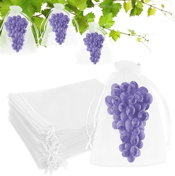 Vlecexs Traubenbeutel weiß 20 × 30 cm, 100 Stück
