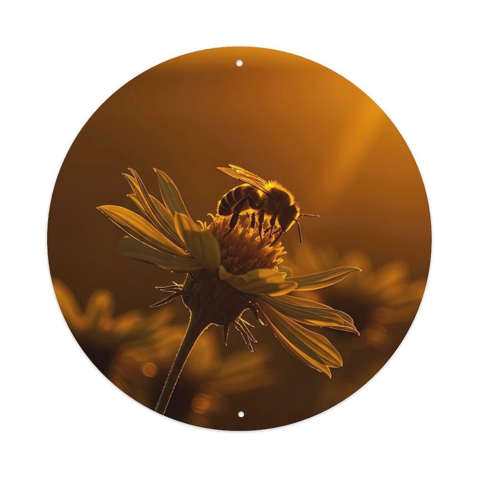 Cwbufd Vintage Style Flower Bee Pollinating Daisy Golden Hour Sunset Backlight Nature Vintage Metal Tin Sign Plaque Wall Decor For Cafe, Club Bar, Office, Garden Metal Poster 8X8inch