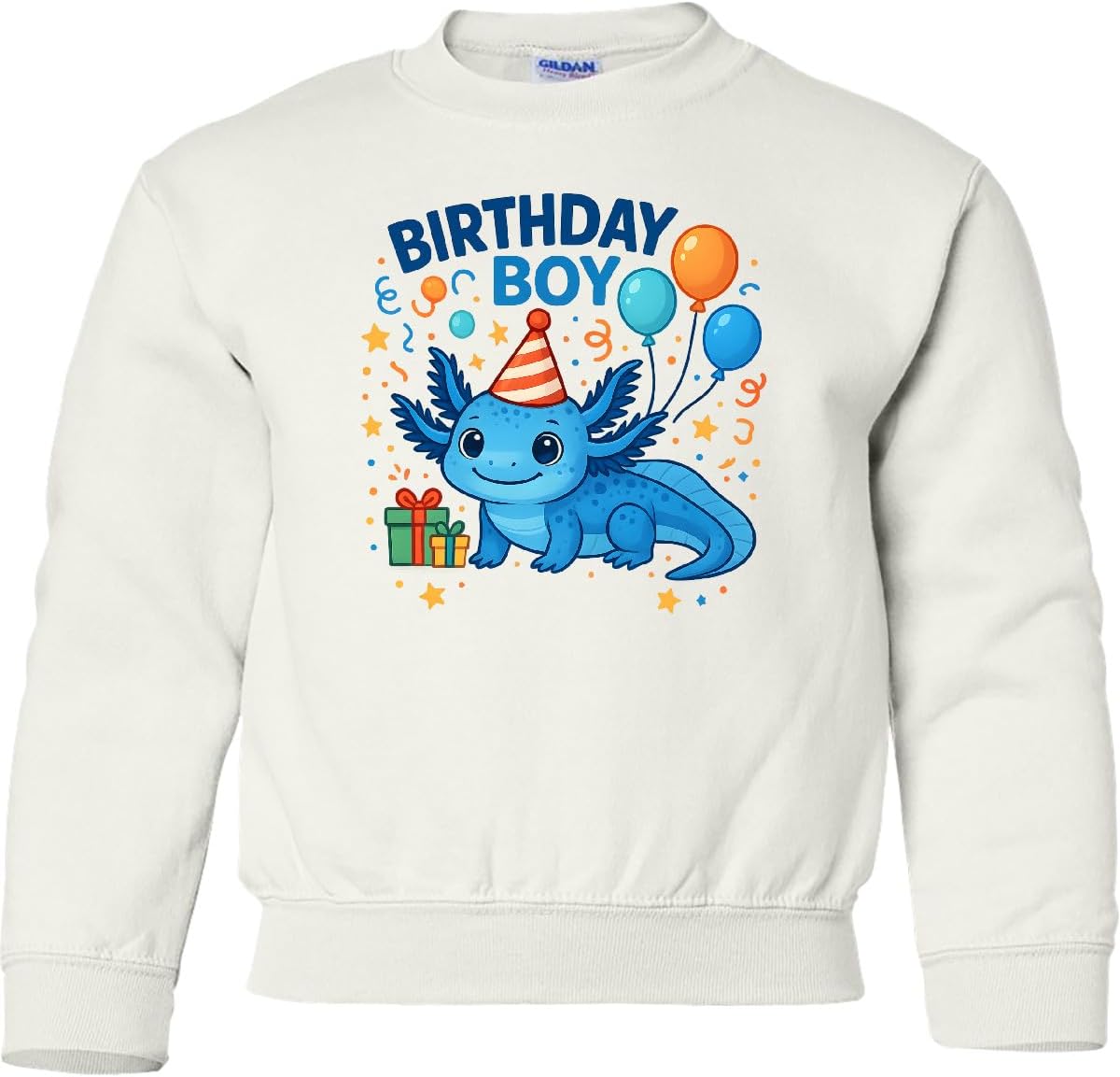 inktastic Birthday Boy Cute Axolotl Party Youth Sweatshirt