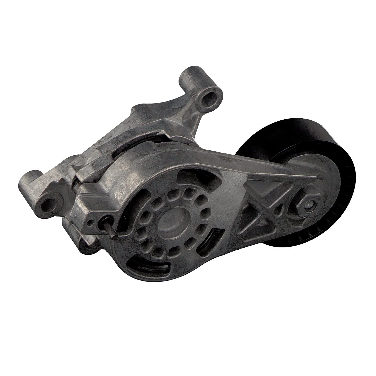 FEBI BILSTEIN Tendicinghia, Cinghia Poly-V 30166 Compatibile con: AUDI A3, A3 Sportback, TT, TT Roadster, SEAT ALTEA, ALTEA XL, LEON, TOLEDO III, SKODA OCTAVIA II, OCTAVIA II Combi, VW EOS, GOLF V
