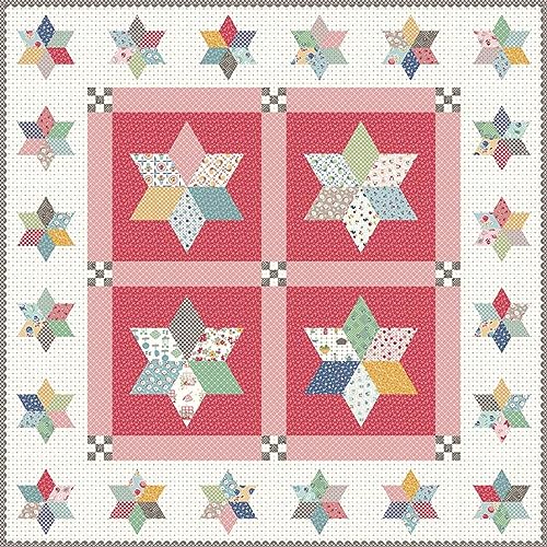 Riley Blake Assortment of Premium Quilt Boxed Kits from Your Favorite Designers, Including Lori Holt, Sandy Gervais, J. Wecker Frisch, etc.. (Pot Luck Stars Quilt Boxed Kit)