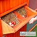 FINCA CASAREJO Gallinero Noruega con Capacidad para 10-12 gallinas - El más...
