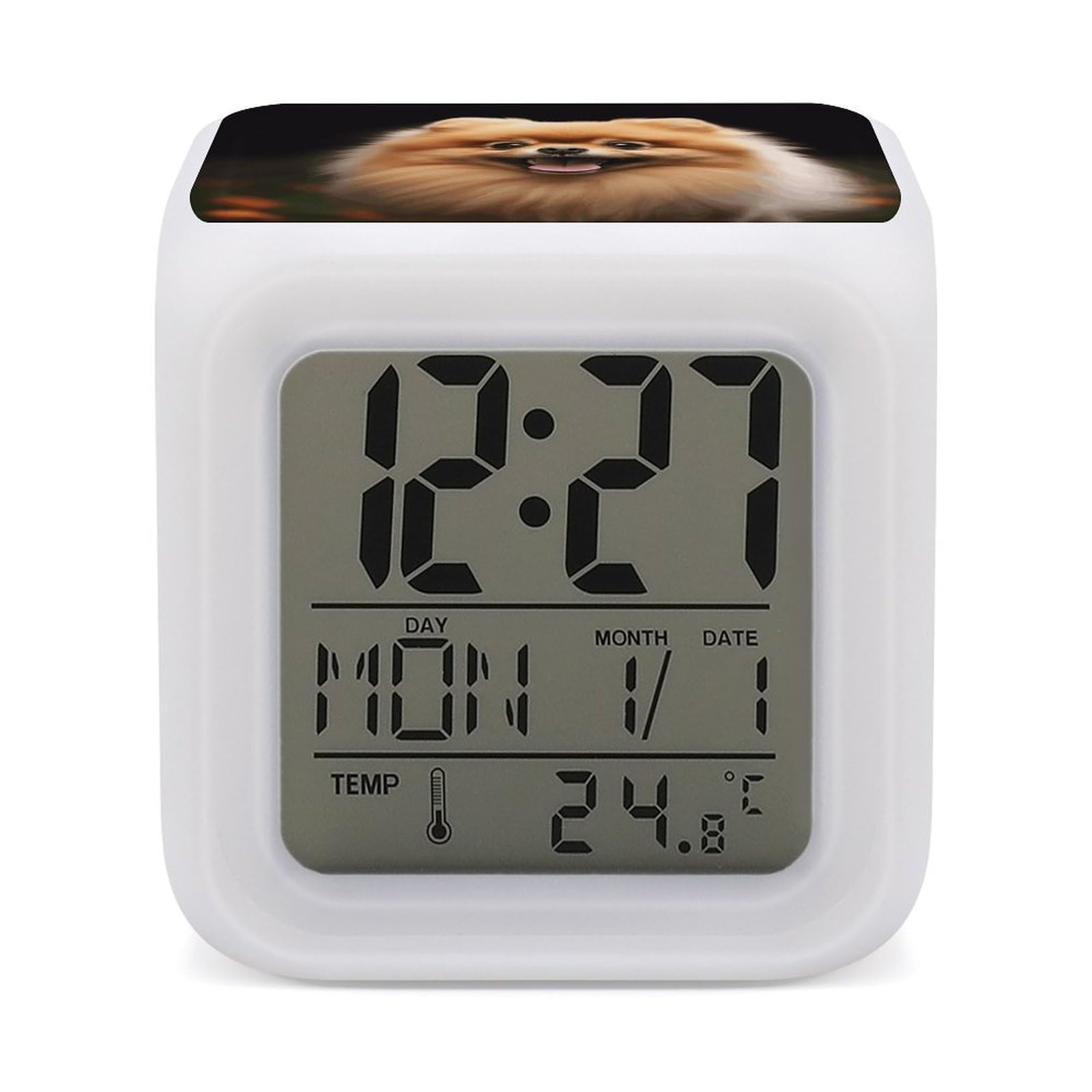 VstaDank Pomeranian Alarm Clocks with 7 Color Changing Night Light Exquisite Bedroom Digital Clocks with LED Temperature Display Desk Clock Ok to Wake Clocks for Heavy Sleeper