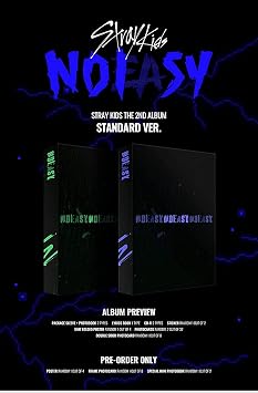 Stray Kids 3 GIFT Noeasy [Random ver] Album+Folded PosterRandom+Love Affairs Premium Face Mask+Extra Photocard Random ver.