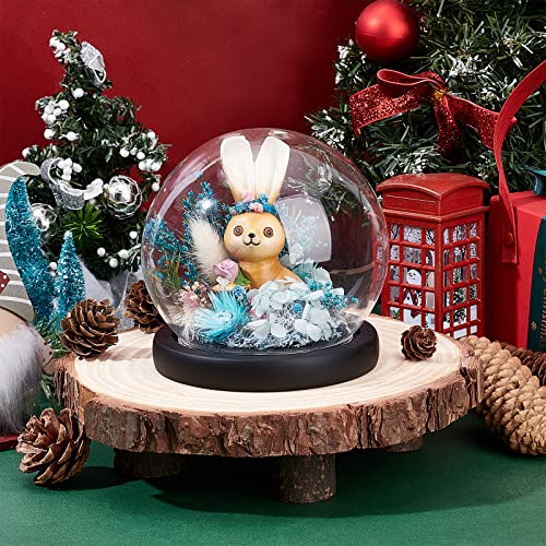 PH PandaHall Glaskuppel Mit Holzboden, Weihnachtsdeko Glasglocke Transparente Glockenglas-Vitrine Glass Dome Cloche Für Pflanzen Blumen Ton Sukkulenten Lichterketten Fotos Medaillen Basteldisplay
