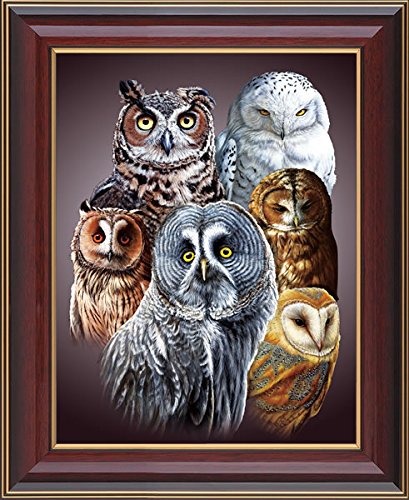 Tripstan 3D Home Wall Art Decor Lenticular Pictures, Owls Collection Holographic Flipping Images, 12X16 Inches Animal Poster Painting, Without Frame, Cute Owls #TOP3